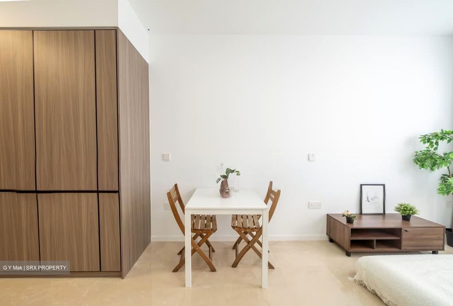 Irwell Hill Residences (D9), Apartment #529599631